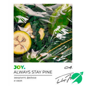 Табак для кальяна Joy 25 гр. (Always stay pine)